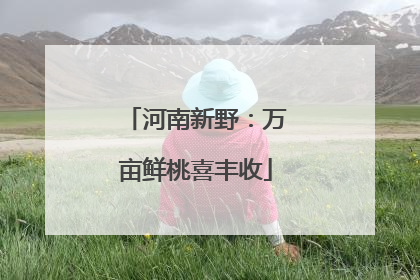 河南新野：万亩鲜桃喜丰收