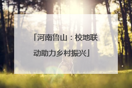 河南鲁山：校地联动助力乡村振兴