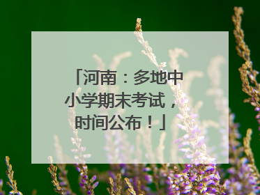 河南：多地中小学期末考试，时间公布！