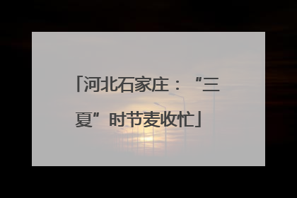 河北石家庄：“三夏”时节麦收忙