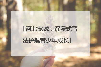 河北宽城：沉浸式普法护航青少年成长