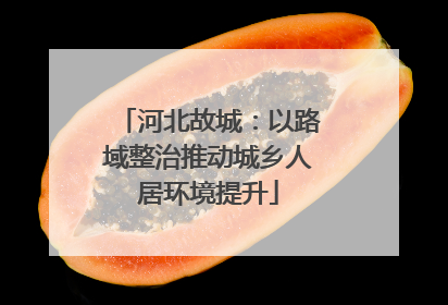 河北故城：以路域整治推动城乡人居环境提升