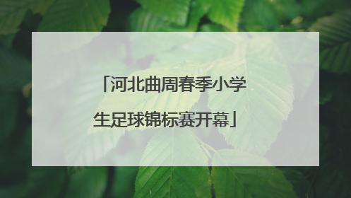 河北曲周春季小学生足球锦标赛开幕