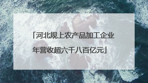 河北规上农产品加工企业年营收超六千八百亿元