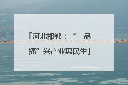河北邯郸：“一品一播”兴产业惠民生