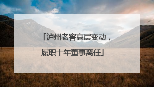 泸州老窖高层变动，履职十年董事离任