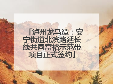 泸州龙马潭：安宁街道北滨路延长线共同富裕示范带项目正式签约