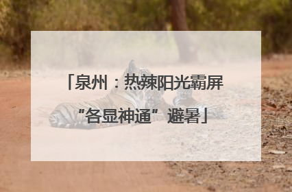 泉州：热辣阳光霸屏 “各显神通”避暑