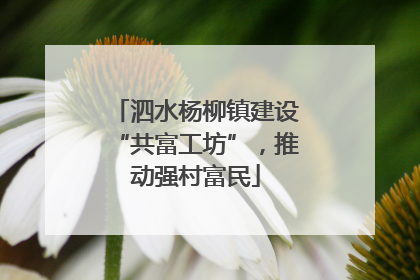 泗水杨柳镇建设“共富工坊”，推动强村富民