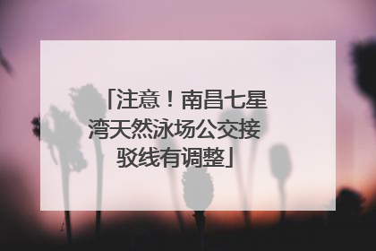 注意！南昌七星湾天然泳场公交接驳线有调整