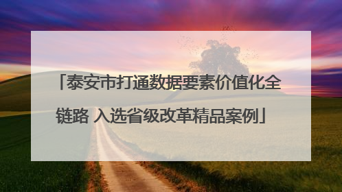 泰安市打通数据要素价值化全链路 入选省级改革精品案例