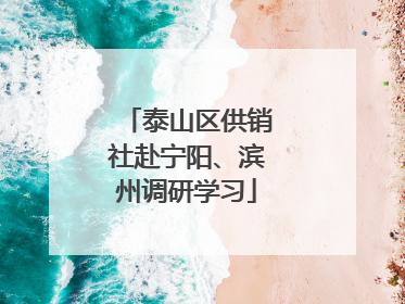 泰山区供销社赴宁阳、滨州调研学习
