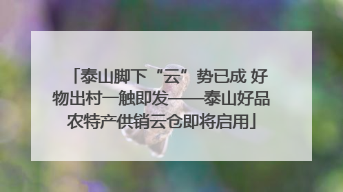 泰山脚下“云”势已成 好物出村一触即发——泰山好品农特产供销云仓即将启用