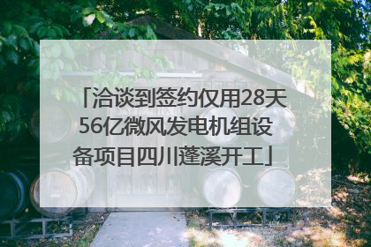 洽谈到签约仅用28天 56亿微风发电机组设备项目四川蓬溪开工