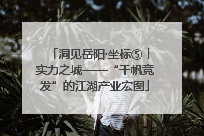 洞见岳阳·坐标⑤丨实力之城——“千帆竞发”的江湖产业宏图