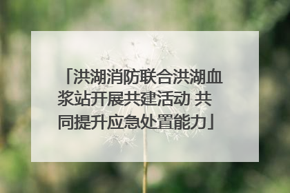 洪湖消防联合洪湖血浆站开展共建活动 共同提升应急处置能力