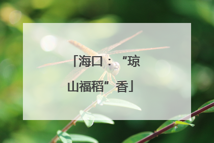 海口：“琼山福稻”香