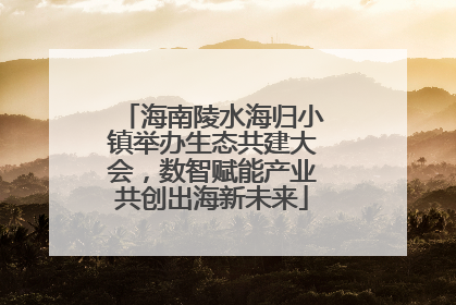 海南陵水海归小镇举办生态共建大会，数智赋能产业共创出海新未来