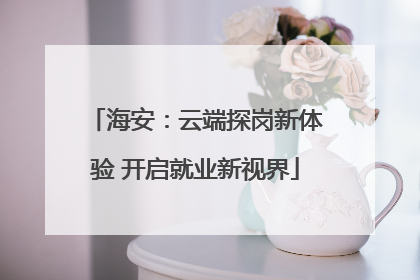 海安：云端探岗新体验 开启就业新视界