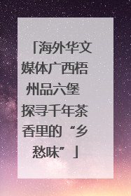 海外华文媒体广西梧州品六堡 探寻千年茶香里的“乡愁味”