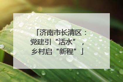 济南市长清区：党建引“活水”，乡村启“新程”