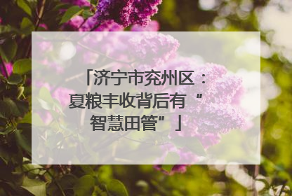 济宁市兖州区：夏粮丰收背后有“智慧田管”