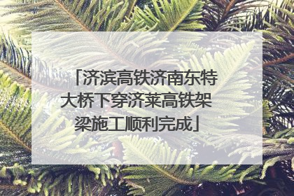 济滨高铁济南东特大桥下穿济莱高铁架梁施工顺利完成