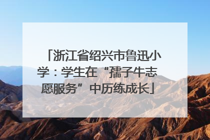 浙江省绍兴市鲁迅小学：学生在“孺子牛志愿服务”中历练成长