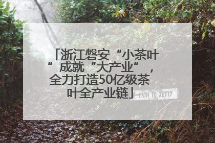浙江磐安“小茶叶”成就“大产业”，全力打造50亿级茶叶全产业链