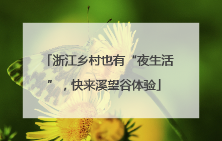 浙江乡村也有“夜生活”，快来溪望谷体验