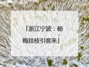 浙江宁波：杨梅挂枝引客来