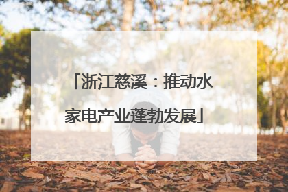 浙江慈溪：推动水家电产业蓬勃发展