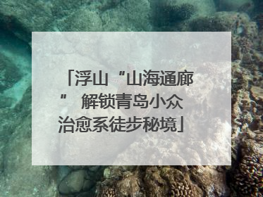 浮山“山海通廊” 解锁青岛小众治愈系徒步秘境