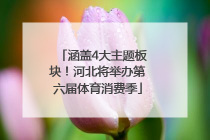 涵盖4大主题板块！河北将举办第六届体育消费季