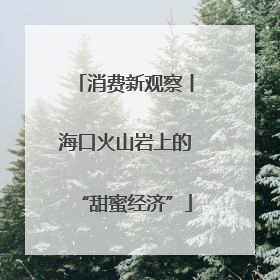 消费新观察丨海口火山岩上的“甜蜜经济”