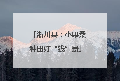 淅川县：小果桑种出好“钱”景