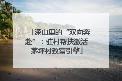 深山里的“双向奔赴”：驻村帮扶激活茅坪村致富引擎