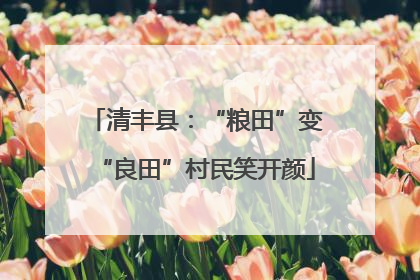 清丰县：“粮田”变“良田”村民笑开颜