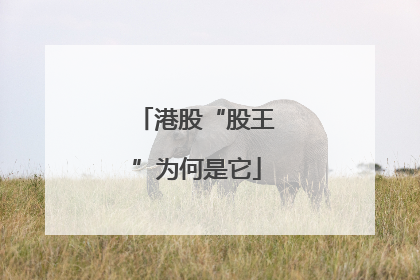 港股“股王”为何是它