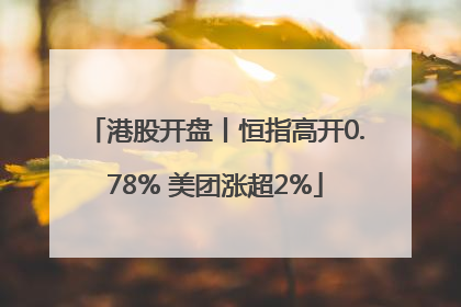 港股开盘丨恒指高开0.78% 美团涨超2%