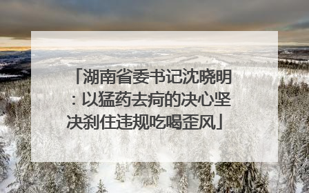 湖南省委书记沈晓明：以猛药去疴的决心坚决刹住违规吃喝歪风