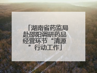 湖南省药监局赴邵阳调研药品经营环节“清源”行动工作