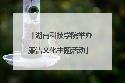 湖南科技学院举办廉洁文化主题活动