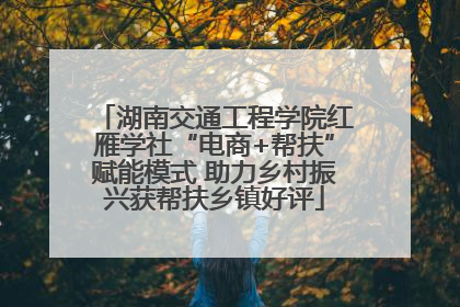 湖南交通工程学院红雁学社“电商+帮扶”赋能模式 助力乡村振兴获帮扶乡镇好评
