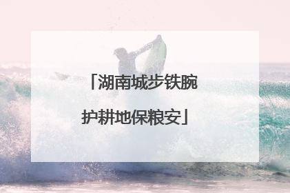 湖南城步铁腕护耕地保粮安