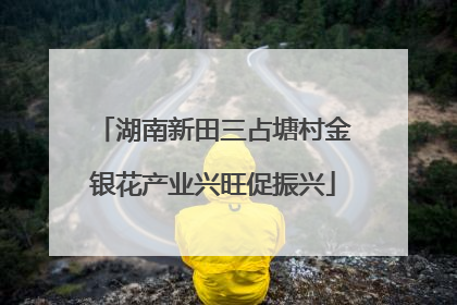 湖南新田三占塘村金银花产业兴旺促振兴
