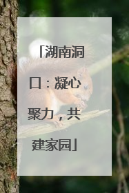 湖南洞口：凝心聚力，共建家园