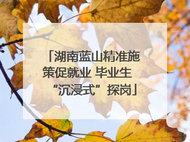 湖南蓝山精准施策促就业 毕业生“沉浸式”探岗