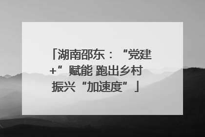 湖南邵东：“党建+”赋能 跑出乡村振兴“加速度”