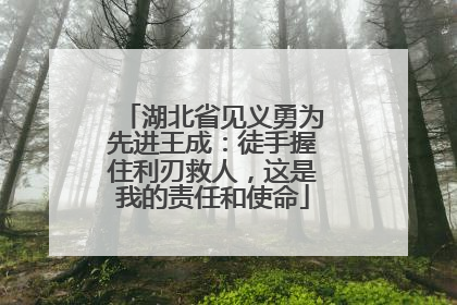 湖北省见义勇为先进王成：徒手握住利刃救人，这是我的责任和使命
